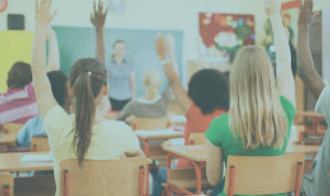 students raising hands in class